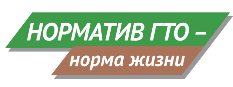 Нормативы испытаний (тестов) Всероссийского физкультурно-спортивного комплекса «Готов к труду и обороне» (ГТО).